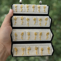 12 Golden Petal Earring With Premium Box